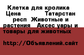 Клетка для кролика › Цена ­ 3 000 - Татарстан респ. Животные и растения » Аксесcуары и товары для животных   